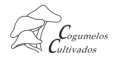 /album/patrocinadores/cogumelos-cultivados-png/
